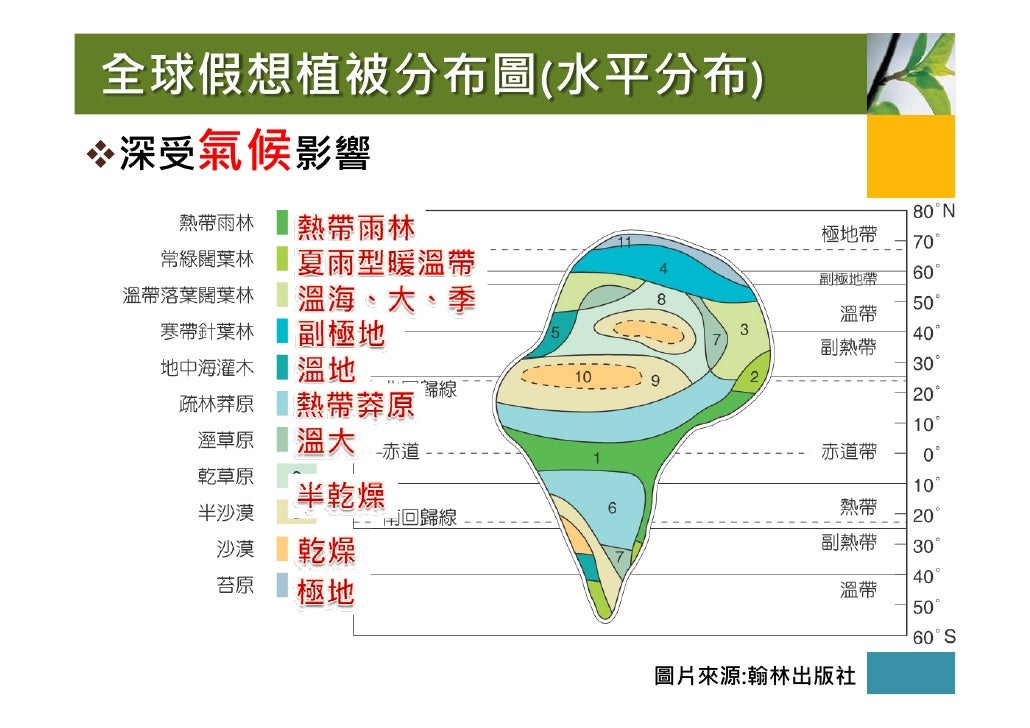 全球假想植被分布圖(水平分布)
深受氣候影響
圖片來源:翰林出版社