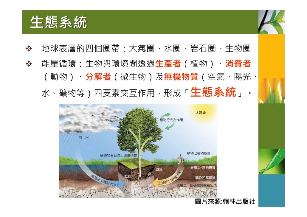 生態系統
地球表層的四個圈帶:大氣圈、水圈、岩石圈、生物圈
能量循環:生物與環境間透過生產者(植物)、消費者
(動物)、分解者(微生物)及無機物質(空氣、陽光、
水、礦物等)四要素交互作用,形成「生態系統」。
...