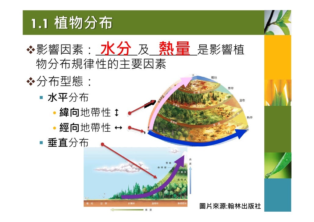 1.1 植物分布
水分 熱量
影響因素:_______及________是影響植
物分布規律性的主要因素
分布型態:
水平分布
• 緯向地帶性
• 經向地帶性
垂直分布
...