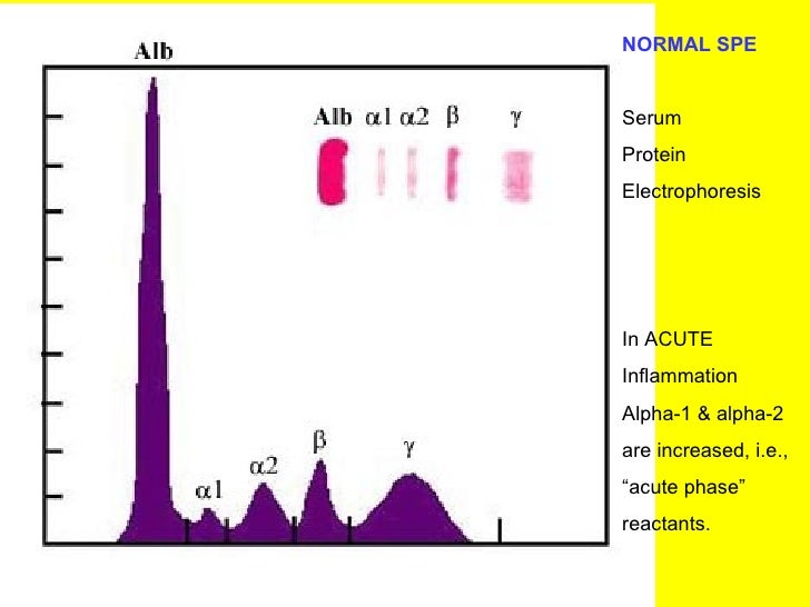Inflammation acute and chronic
