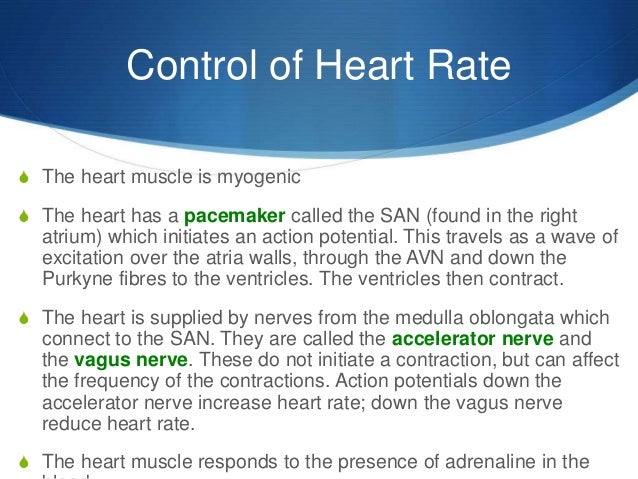 daphnia heart rate and kcl The increased systolic pressure results partly from an increased heart rate effect of drugs on frog’s heart kcl) 4 regulation of the heart. daphnia heart rate and kcl The increased systolic pressure results partly from an increased heart rate effect of drugs on frog’s heart kcl) 4 regulation of the heart.