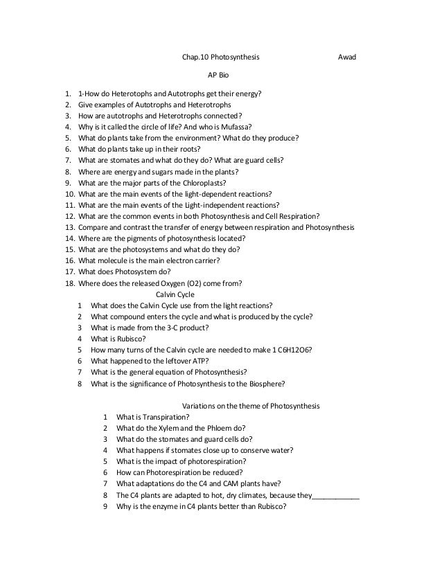 Questions to ask about photosynthesis image