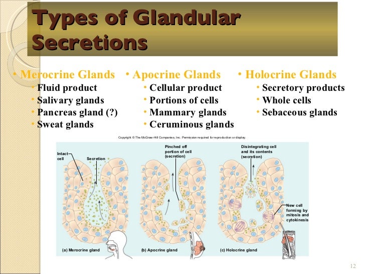 Chapt05 Holes Lecture[1]