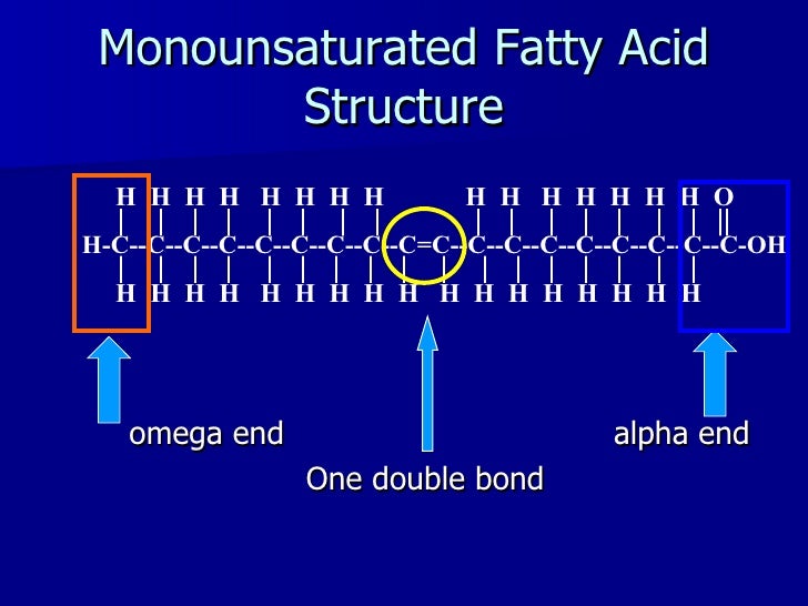 Nutrition Chapter 5 Lecture Notes