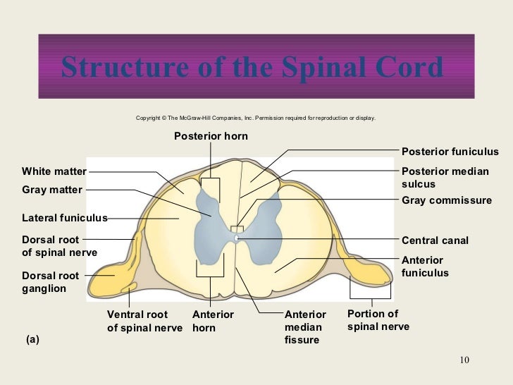 Chapt11 Holes Lecture[1]