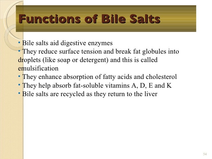 Chapt17 digestive system