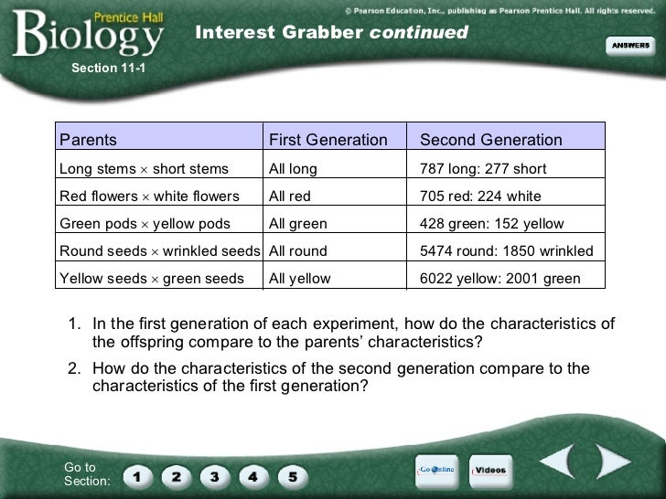 chapter 11 introduction to genetics chapter 11 introduction to genetics