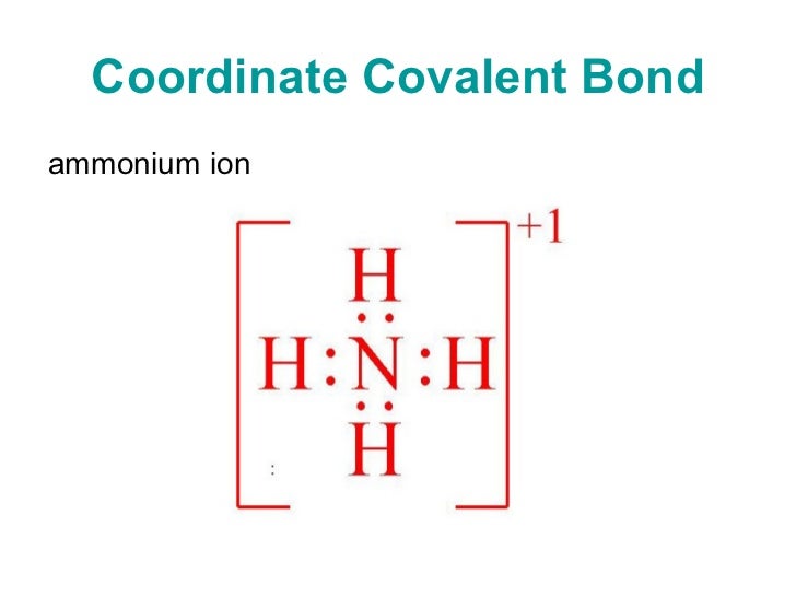 nitrogen atom