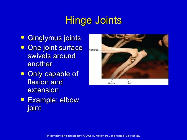 6. The Skeletal System
