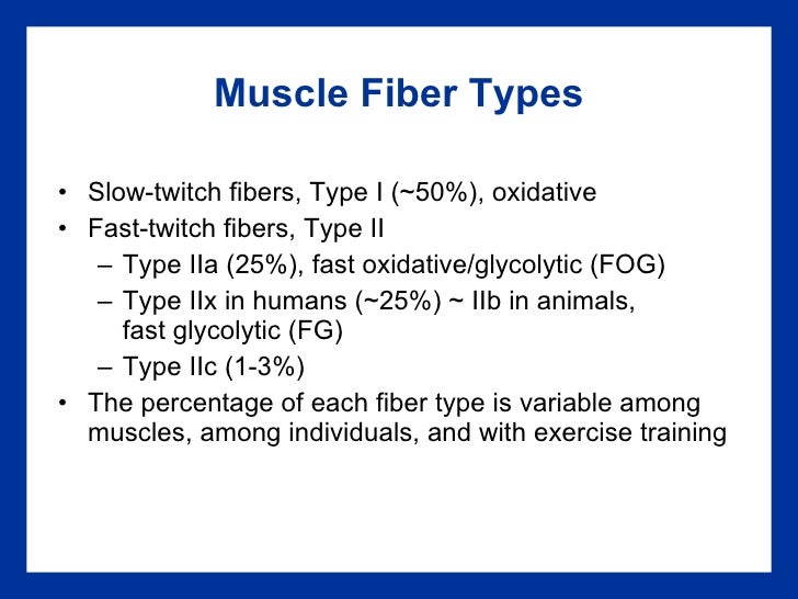 Chapter 01 Power Points