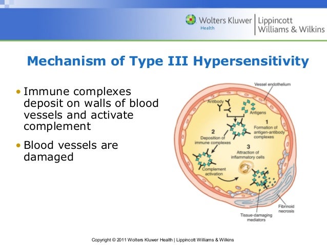 cell mediated response