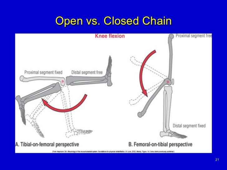 Basic Principles of Kinesiology