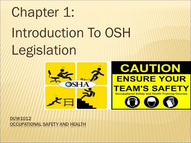 Occupational safety and health research paper