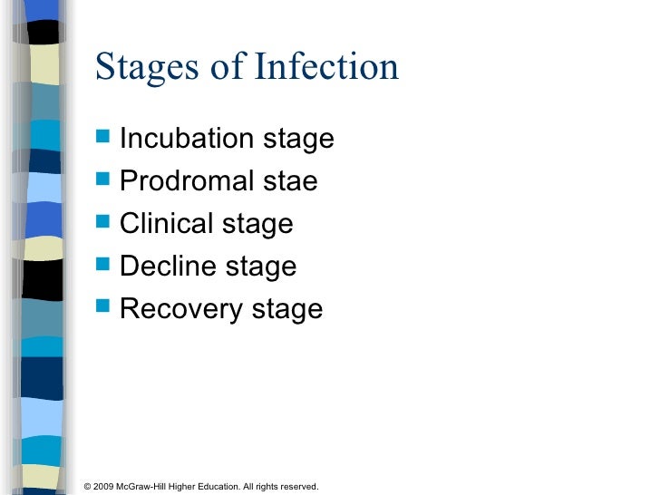Preventing Infectious Diseases four stages of infection diagram 