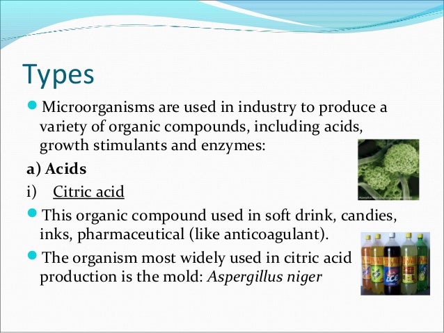 Bacterial Fermentation Can Be Used To Preserve Foods Because It Bacterial Fermentation Can Be Used To Preserve Foods Because It