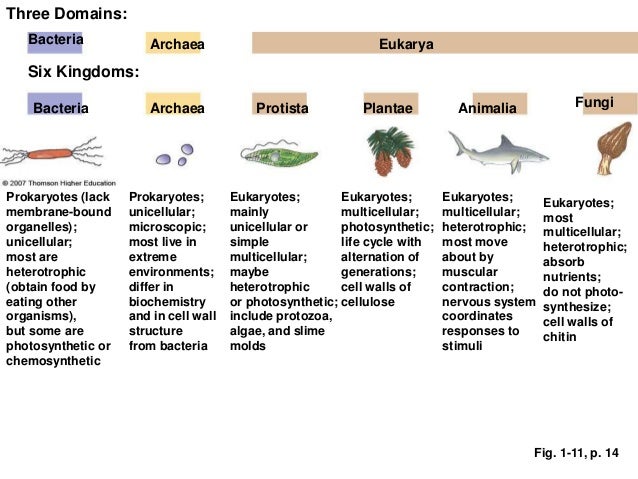 An Introduction to the Science of Botany