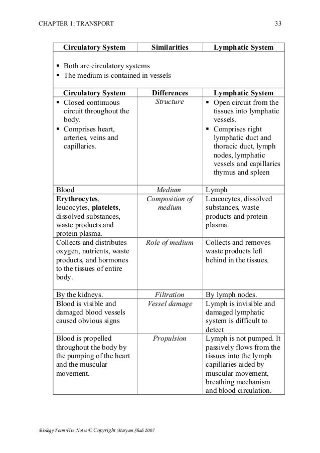 Essay questions on cardiovascular system