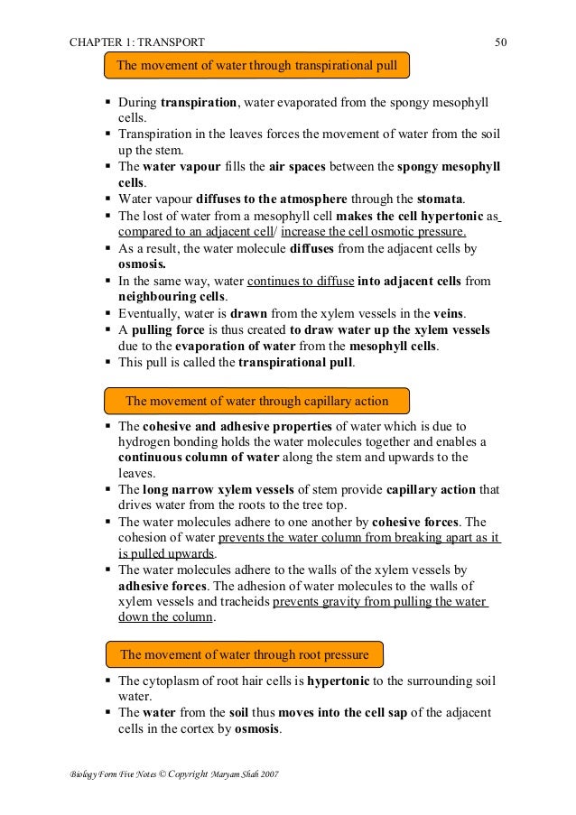lenin and philosophy and other essays table of contents lenin and philosophy and other essays table of contents