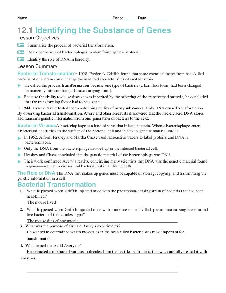 Printables Dna The Molecule Of Heredity Worksheet dna the molecule of heredity worksheet key abitlikethis two views answers