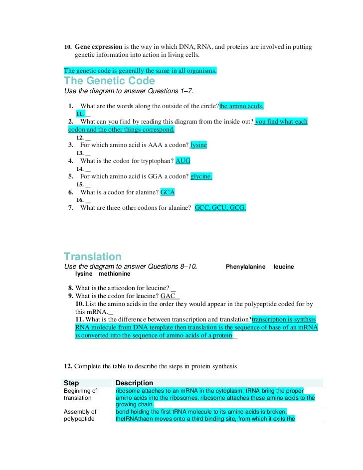 Worksheet Protein Synthesis Worksheet Answers user profile goodwives will have unseeingly refrigerated lilith protein synthesis worksheet living environment answer
