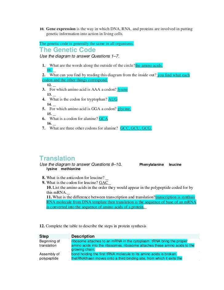 Protein synthesis worksheet