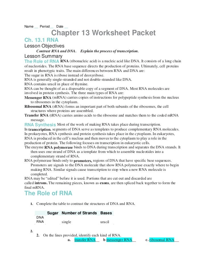 Printables Gene Mutation Worksheet gene mutation worksheet imperialdesignstudio protein synthesis answer key
