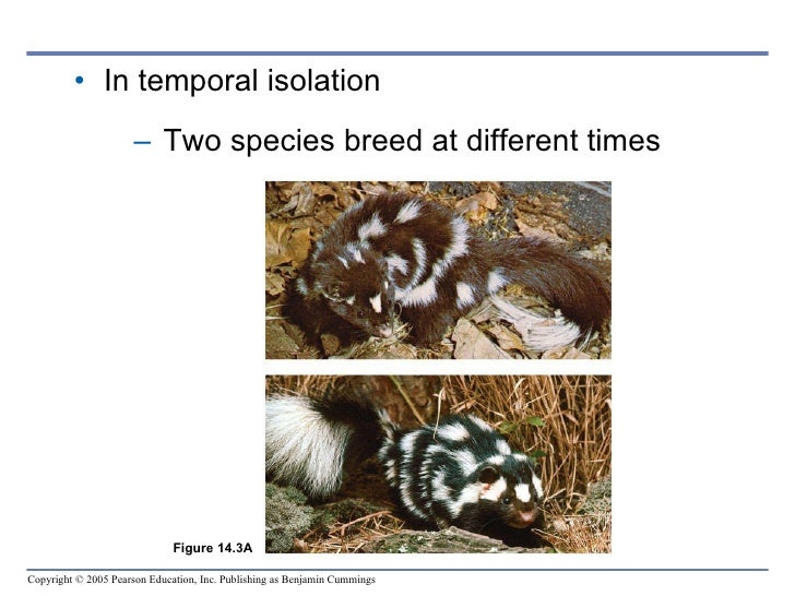 Chapter 14 The Origin of Species