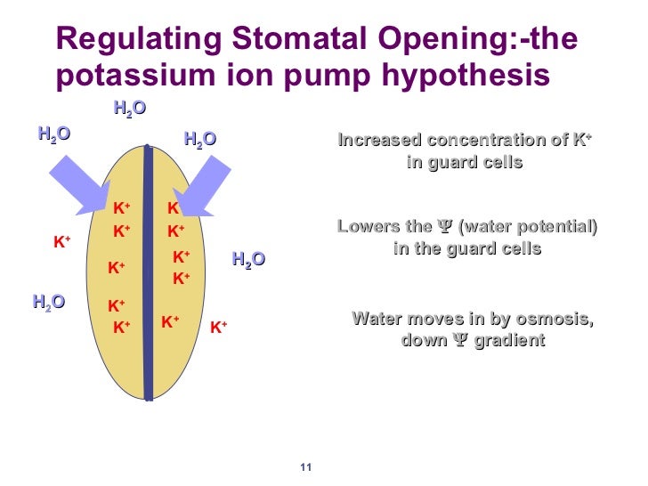Chapter 16 lecture 3
