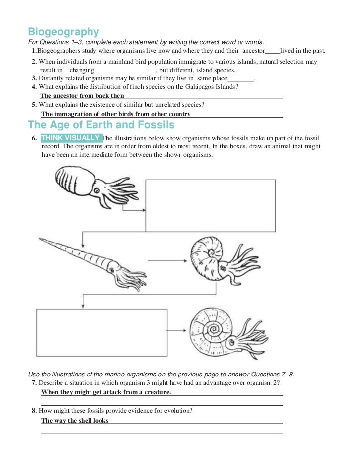 chapter-15-the-theory-of-evolution-worksheet-answer-key-greenged