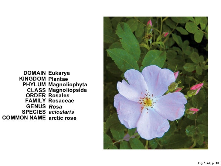 Chapter1 sections 59