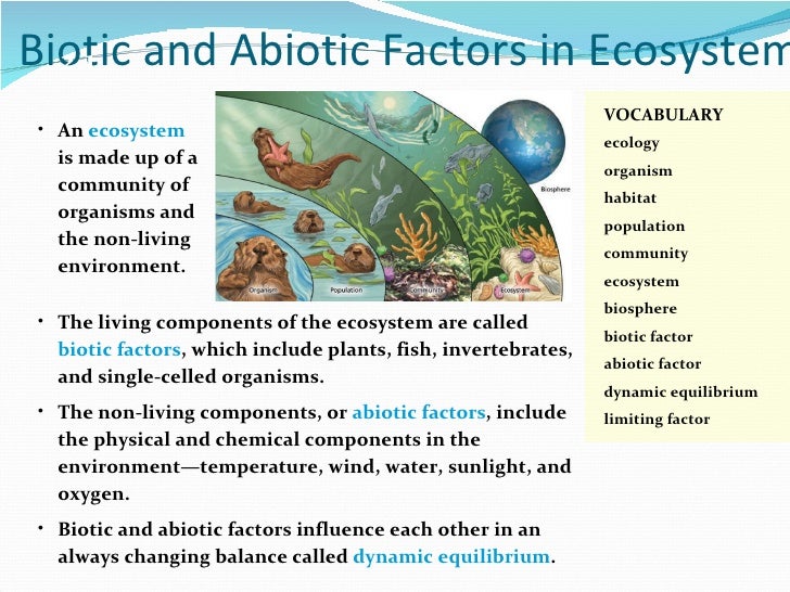 Science 10 - Chapter2