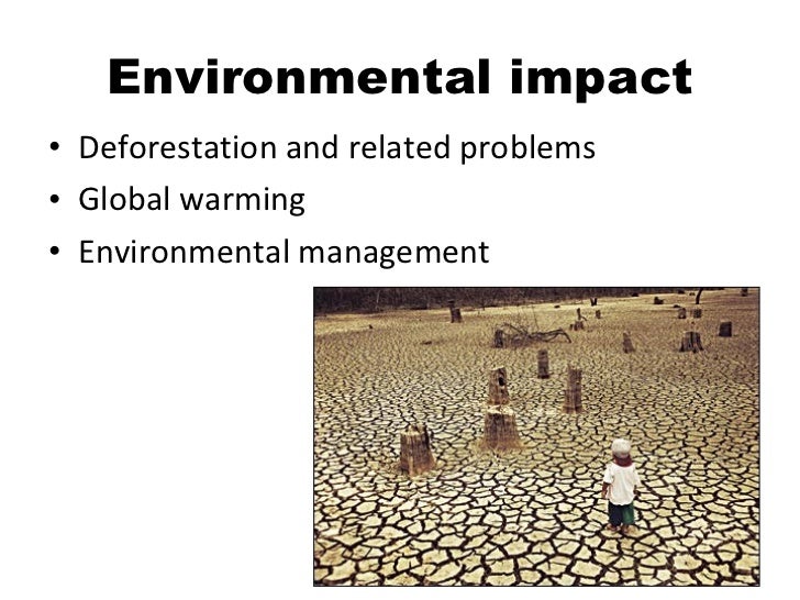 Masteral thesis on environmental issues
