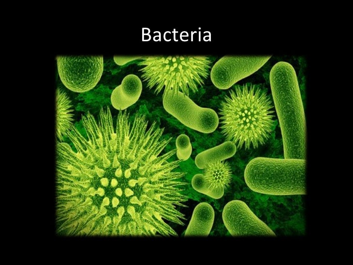 Chapter 2 Understanding