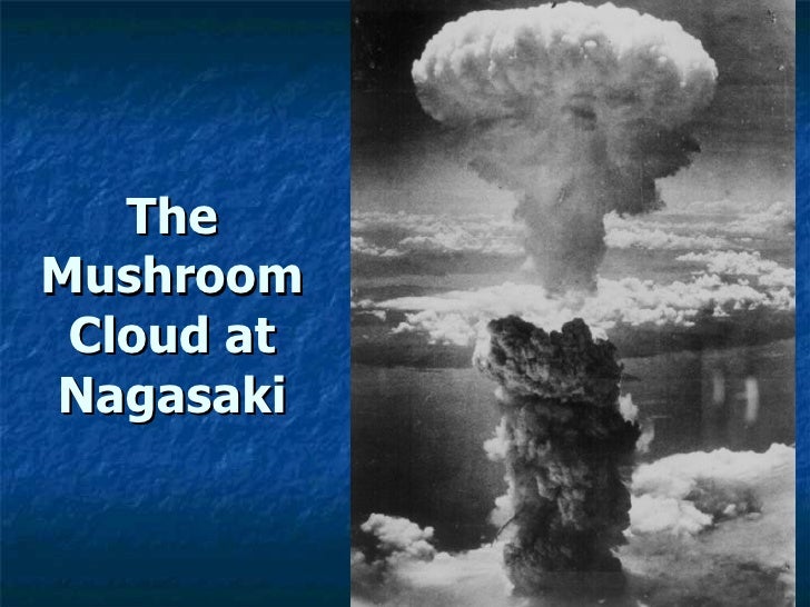 ap-wh-chapter-29-powerpoint-62-728.jpg