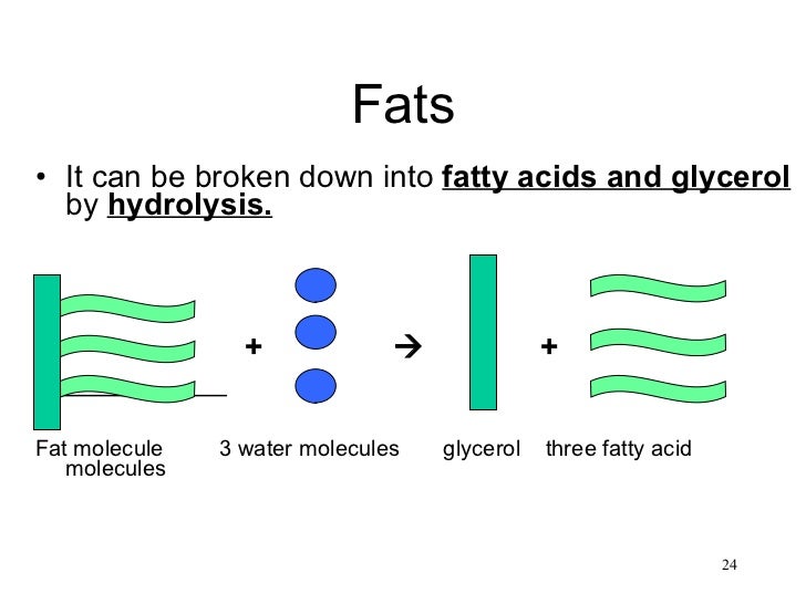 Chapter 4 nutrition 2011
