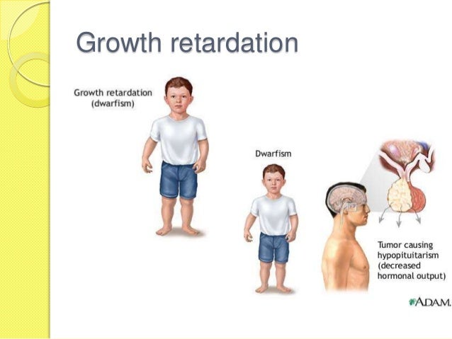 Form 3 Science Chapter 5 Growth