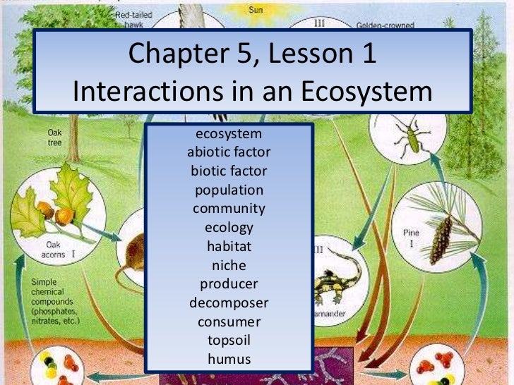 chapter-5-lesson-1-interactions-in-an-ecosystem