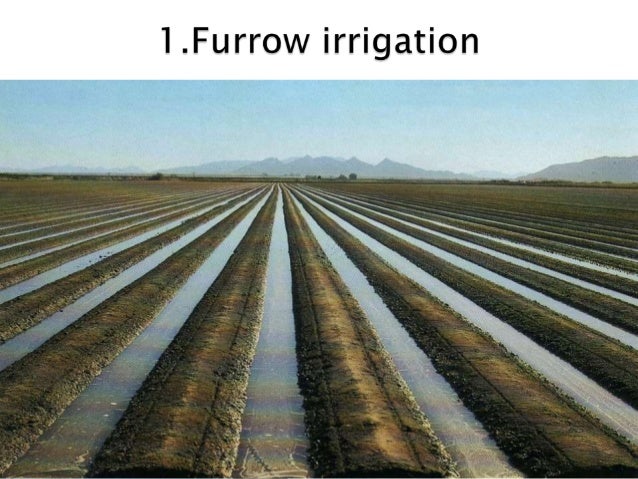 drainage ditch