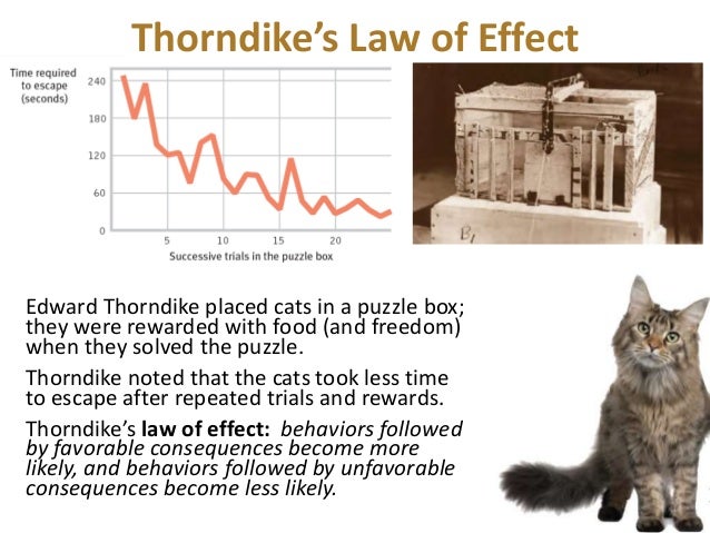 principles of classical conditioning identified by thorndike 1 1 edward lee thorndike (1874-1949) chapter 4 2 edward lee thorndike 1 thorndike was born in williamsburg, massachusetts on aug 31, 1874 2 read “principles of psychology. principles of classical conditioning identified by thorndike 1 1 edward lee thorndike (1874-1949) chapter 4 2 edward lee thorndike 1 thorndike was born in williamsburg, massachusetts on aug 31, 1874 2 read “principles of psychology.