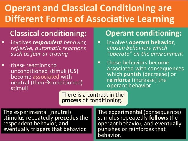 Operant conditioning essay