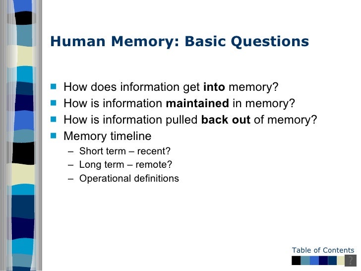 Essay On Memory