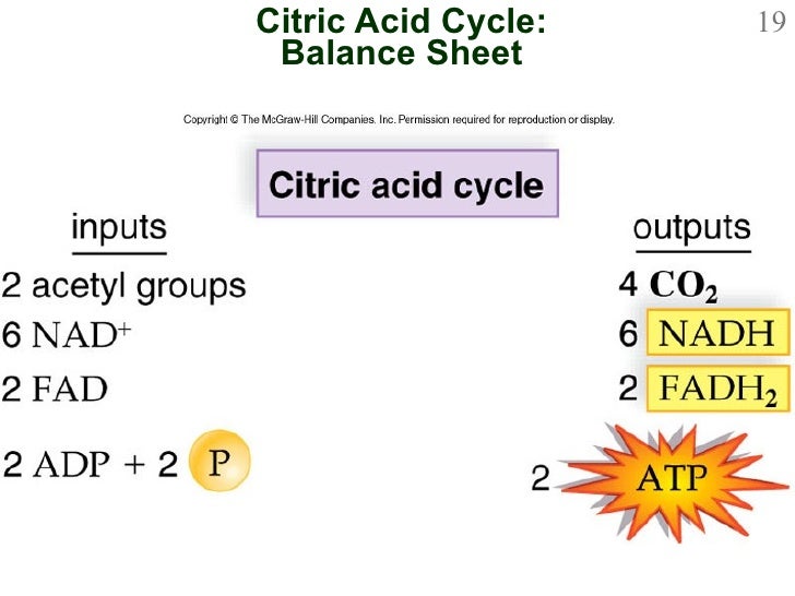 Chapter 8 Powerpoint Le