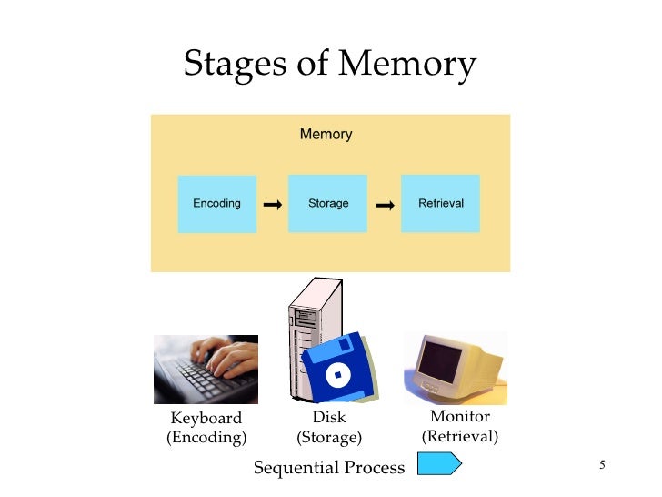 Chapter 9 ap psych Memory