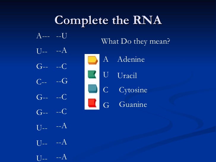Chapter ii (proteins nucleic acids and atp)