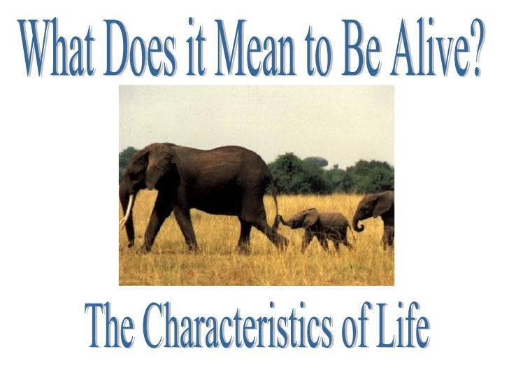 Biology 7 characteristics of life flashcards | quizlet