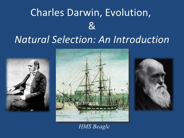 charles darwins ideas charles darwins ideas