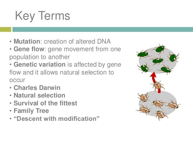 an analysis of charles darwins theories of natural selection and the survival of the fittest The phrase 'survival of the fittest' seems to play a key role in the theory of evolution the theory of evolution by natural selection rests on three principles: 1 (ever since darwin: reflections in natural history. an analysis of charles darwins theories of natural selection and the survival of the fittest The phrase 'survival of the fittest' seems to play a key role in the theory of evolution the theory of evolution by natural selection rests on three principles: 1 (ever since darwin: reflections in natural history.