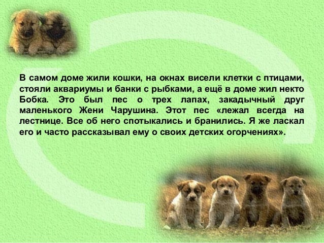 Кофейный сорт 4 буквы Кофейный сорт 4 буквы