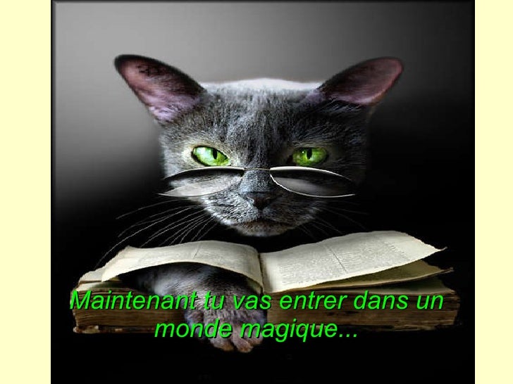 Pub nouveau site de rencontre