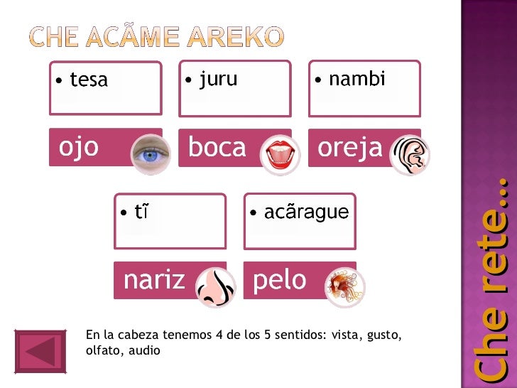Imagenes Sensoriales Guarani | partes del cuerpo humano en guarani imagui Imagenes Sensoriales Guarani | partes del cuerpo humano en guarani imagui